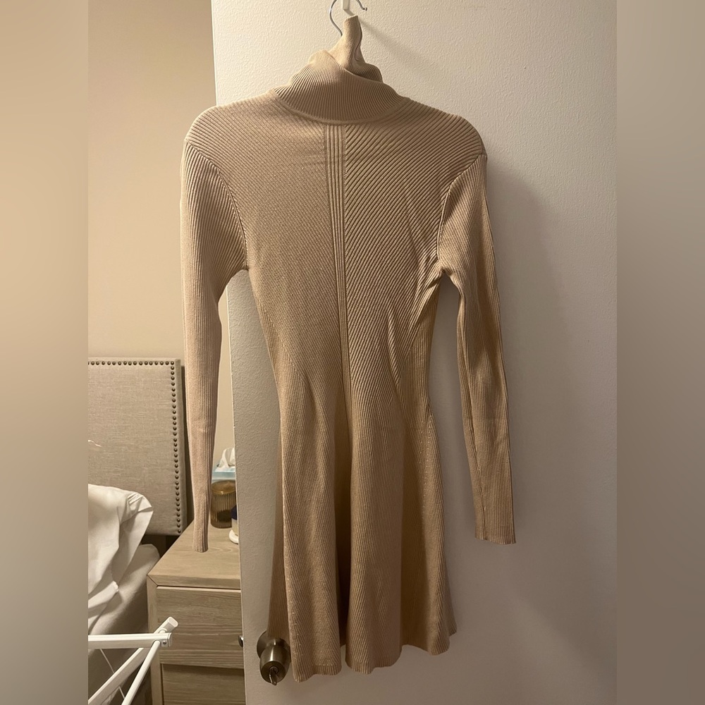 Zara turtleneck dress
